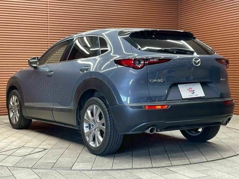 CX-30