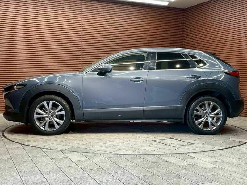 CX-30