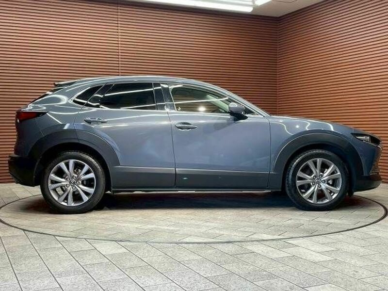 CX-30