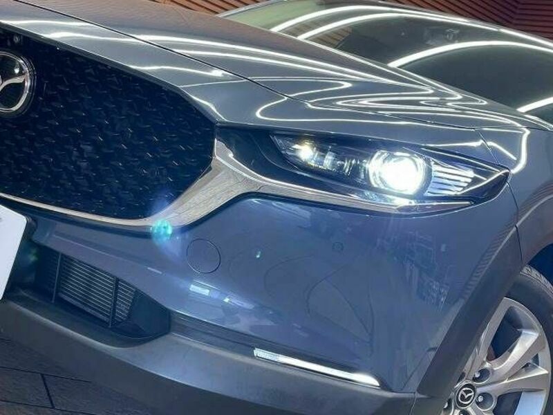 CX-30