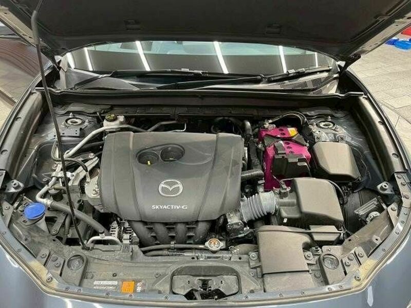 CX-30