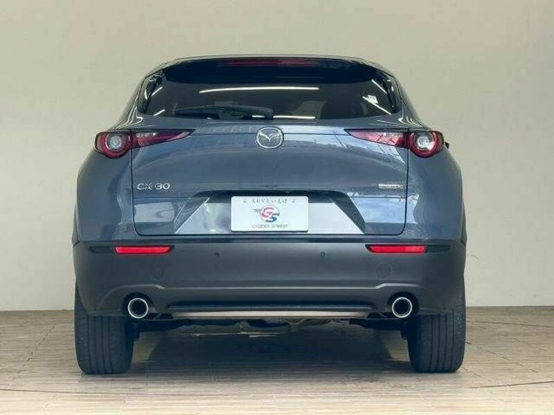 CX-30