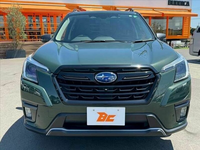 FORESTER