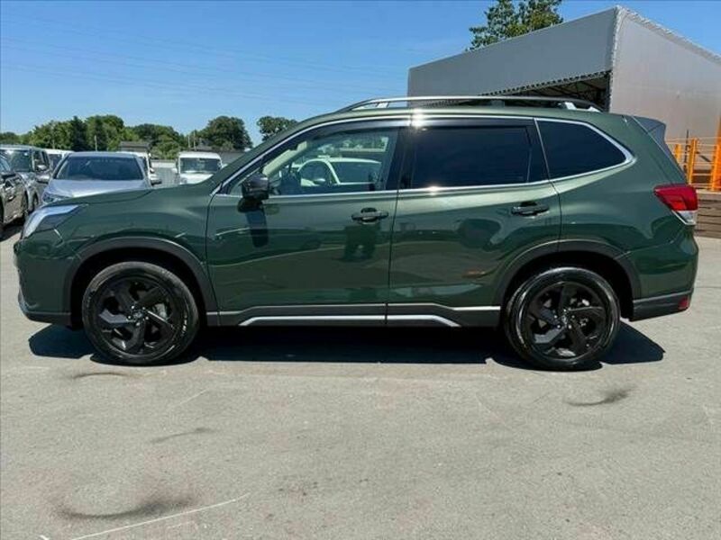 FORESTER