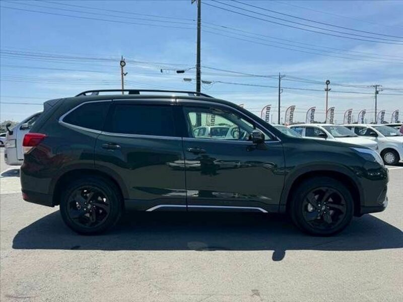 FORESTER
