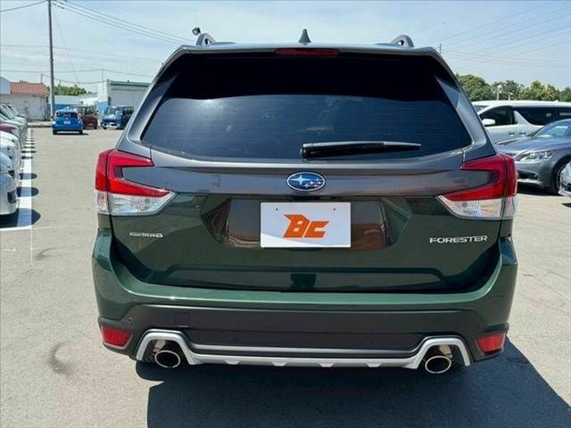 FORESTER