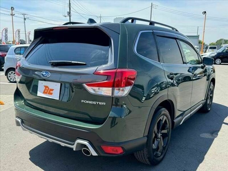 FORESTER