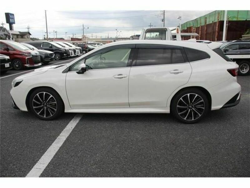 LEVORG