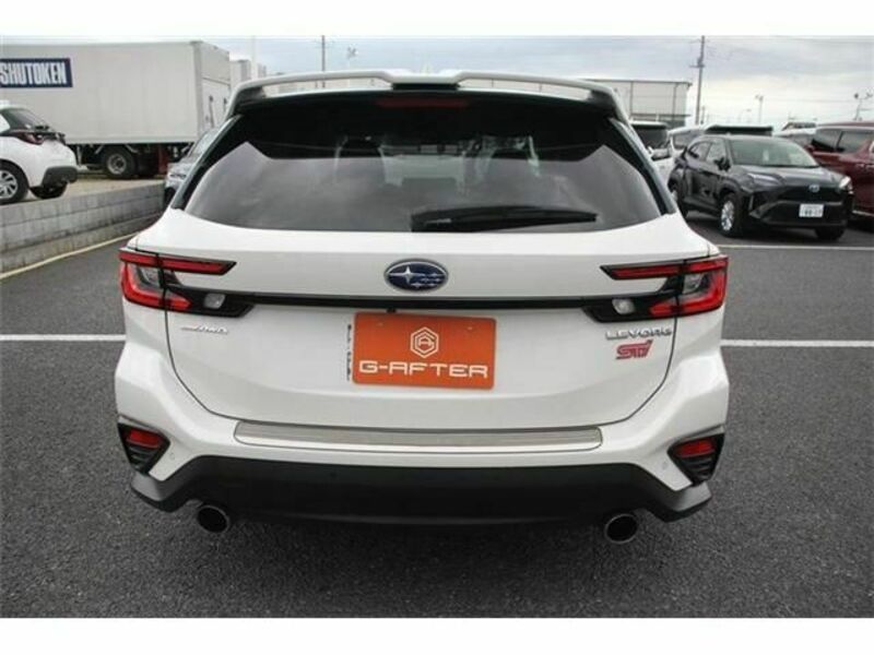 LEVORG
