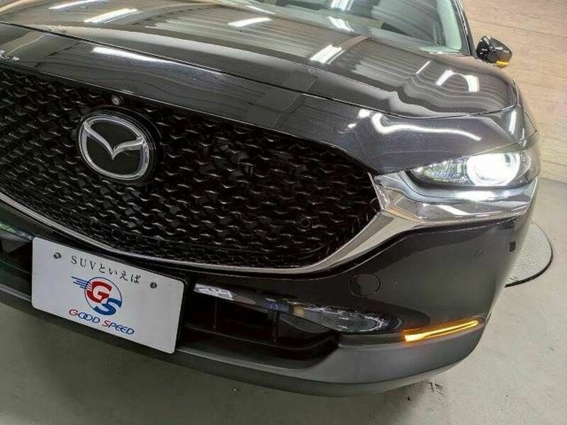 CX-30