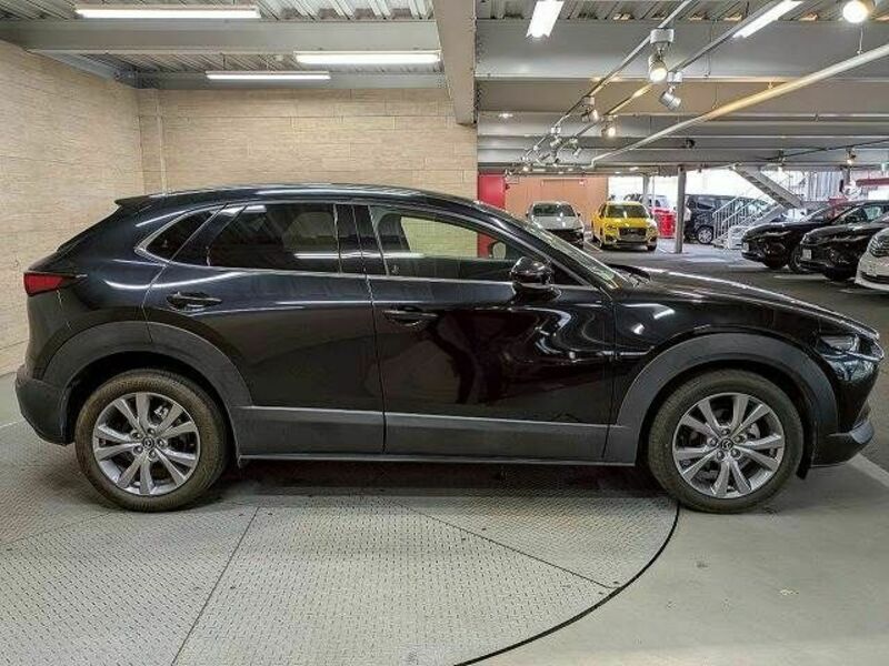 CX-30