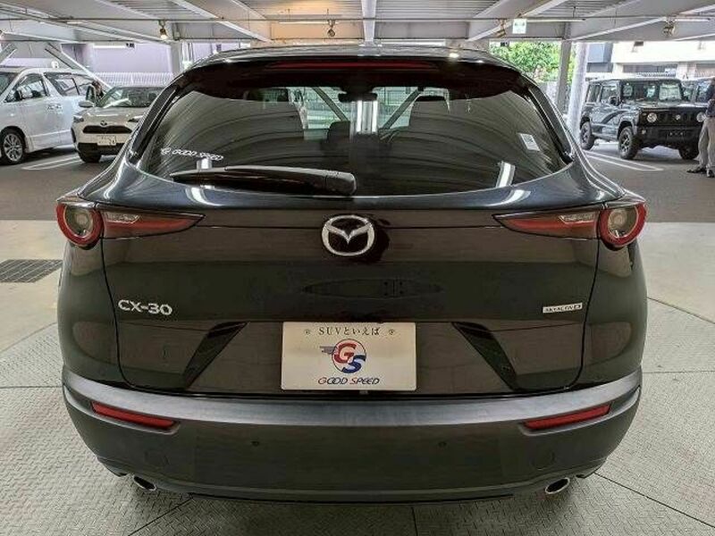 CX-30