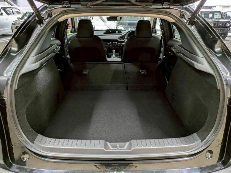 CX-30