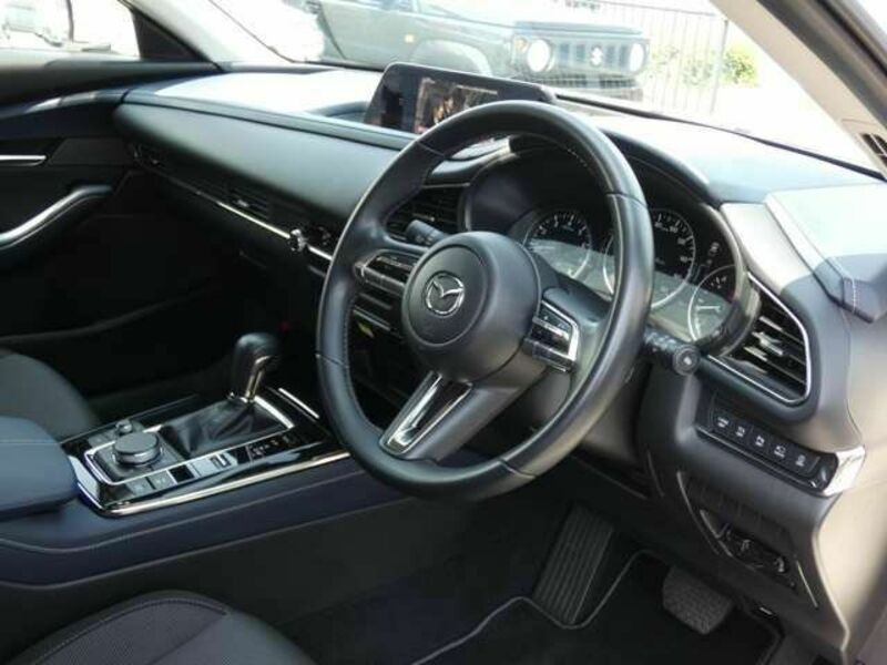 CX-30