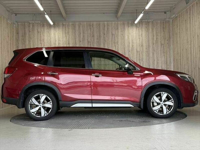 FORESTER