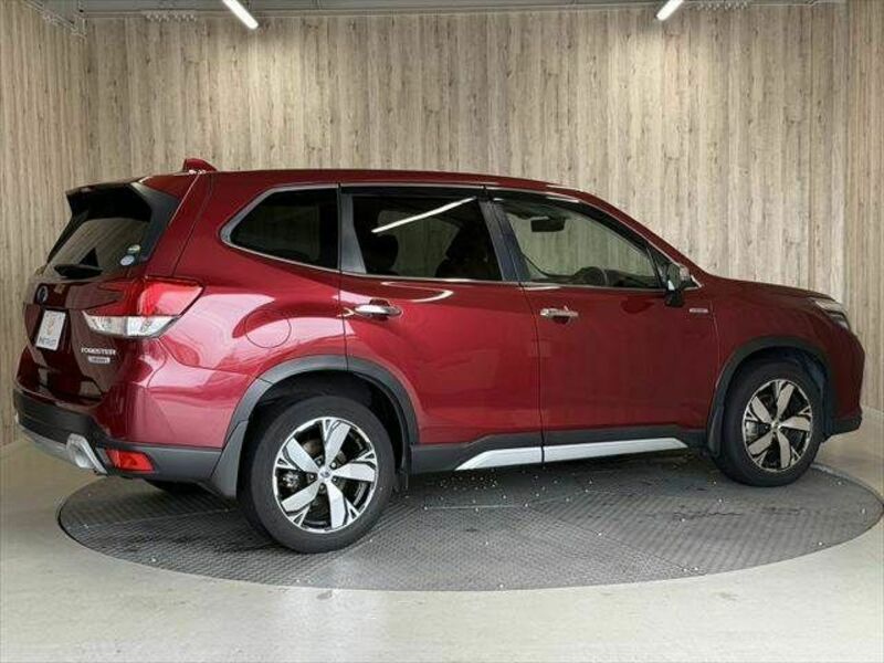 FORESTER