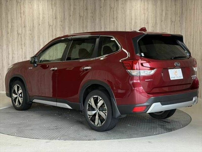 FORESTER