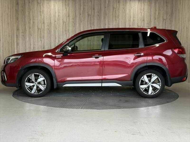 FORESTER