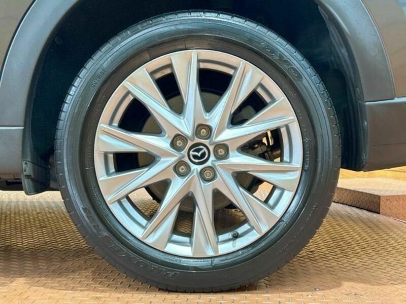 CX-8
