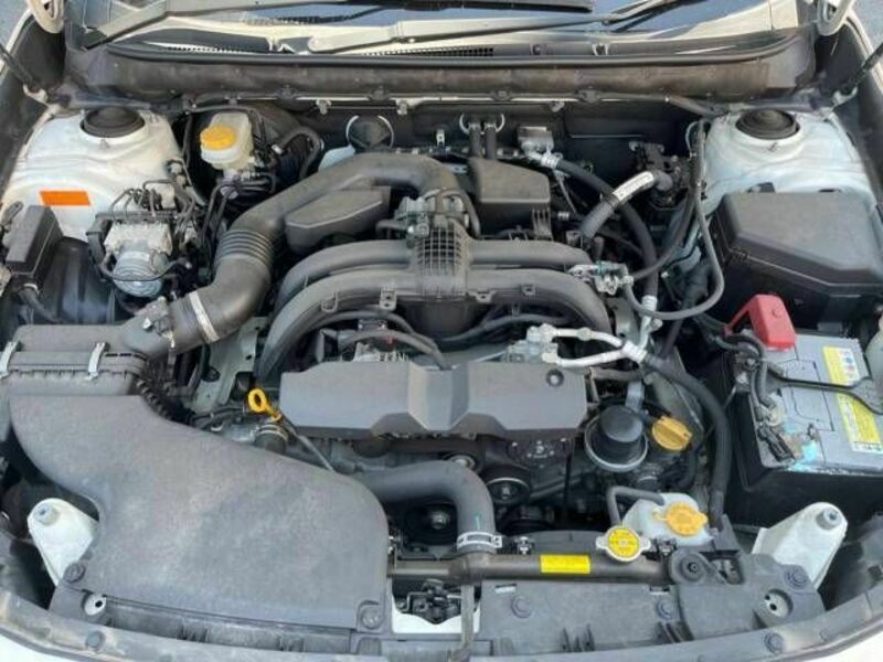 LEGACY OUTBACK