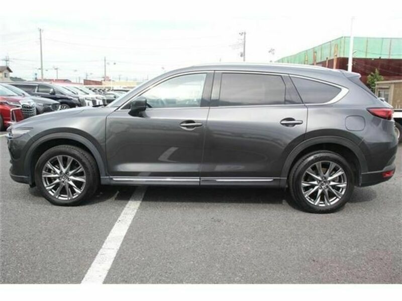 CX-8