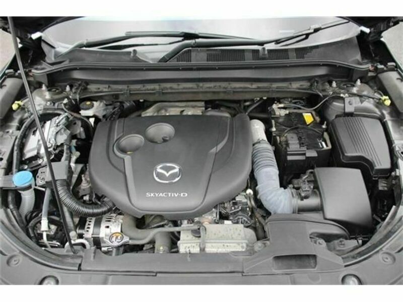 CX-8