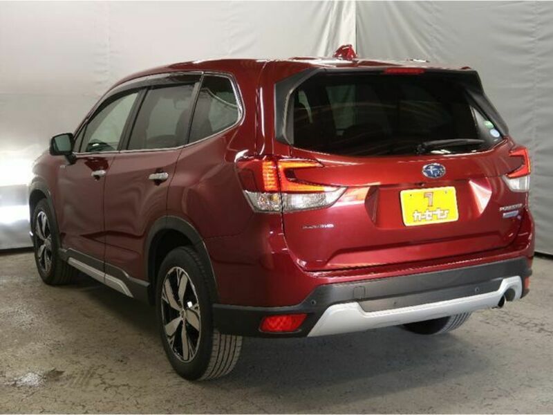 FORESTER