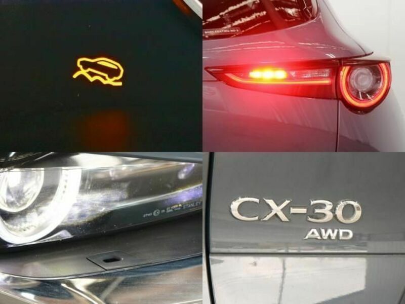 CX-30