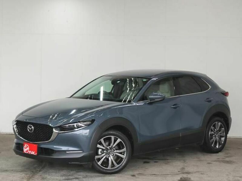 CX-30