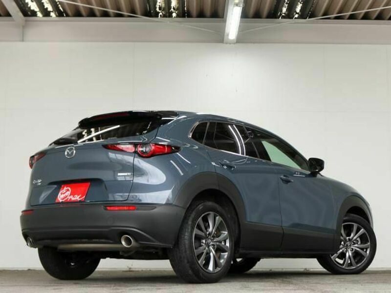 CX-30