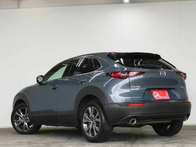 CX-30