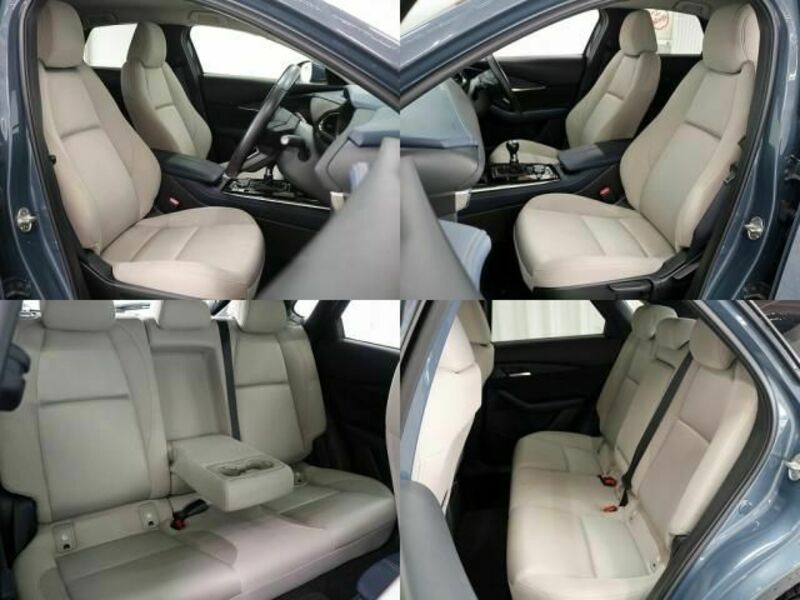 CX-30