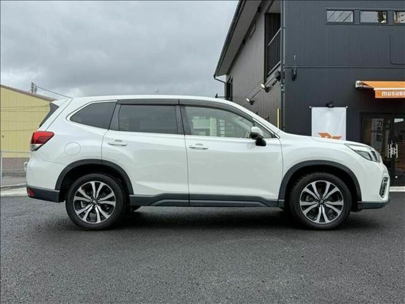 FORESTER