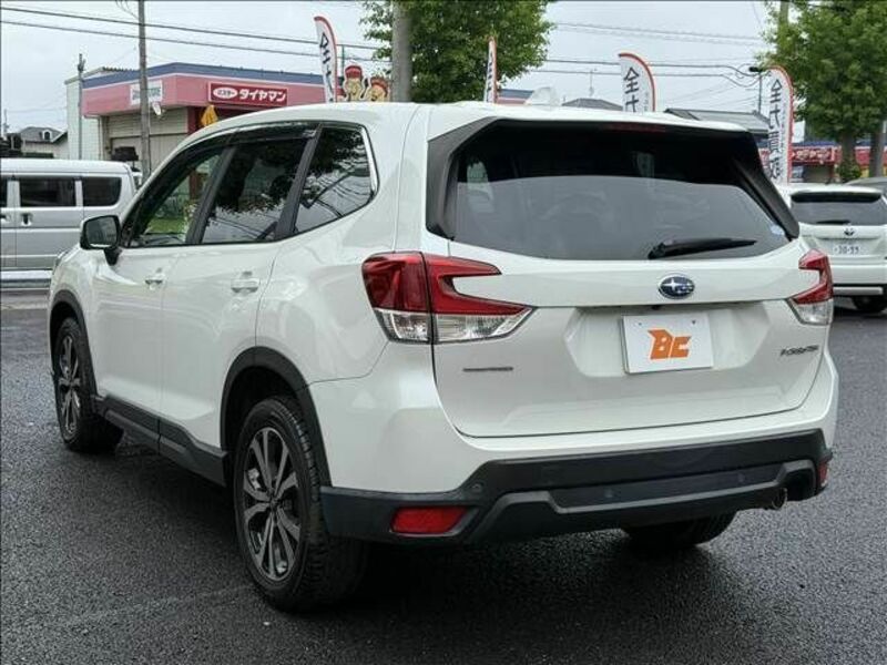 FORESTER