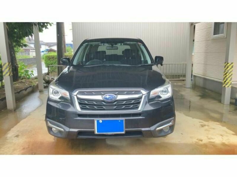 FORESTER-0