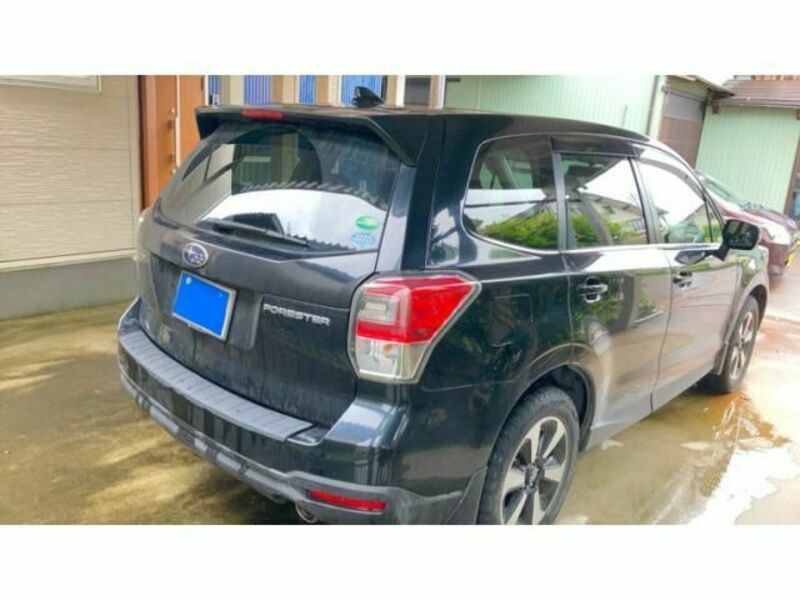 FORESTER