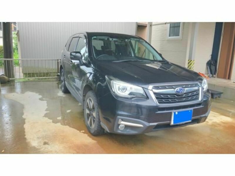 FORESTER