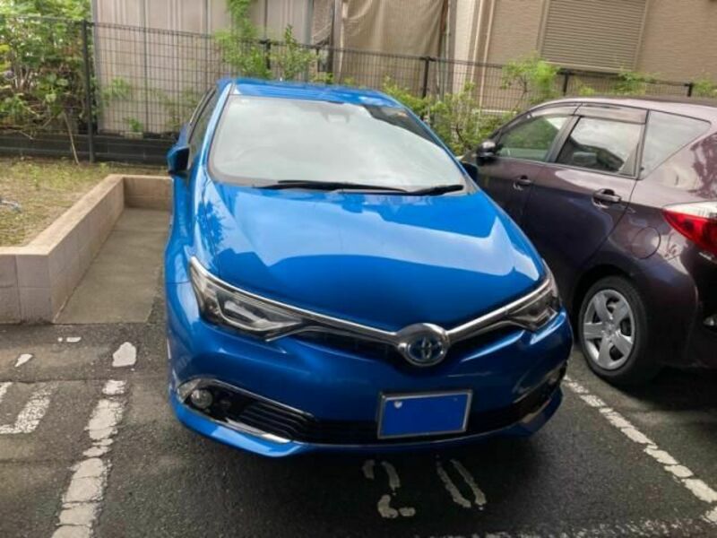 AURIS HYBRID