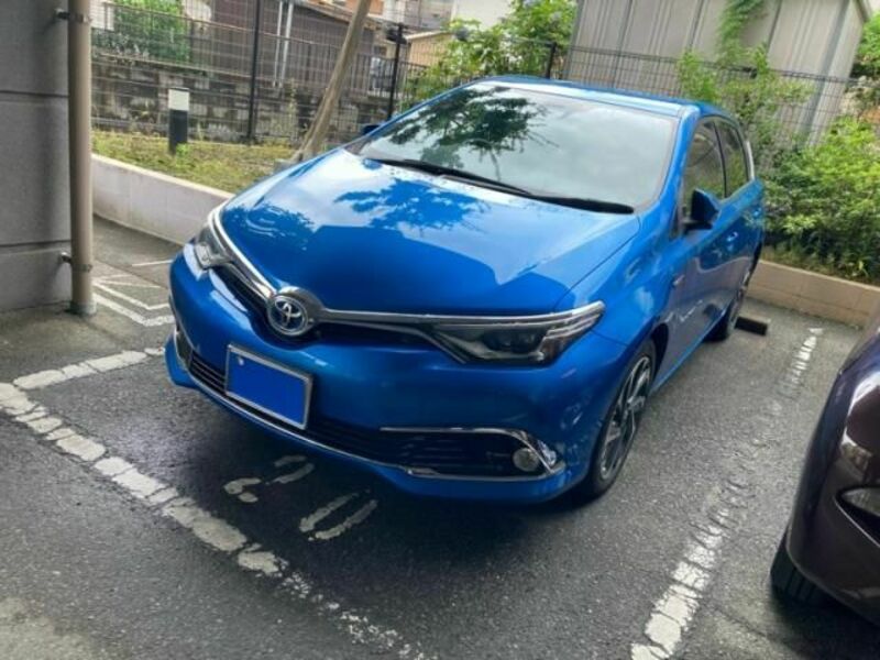 AURIS HYBRID