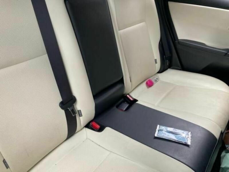 AURIS HYBRID
