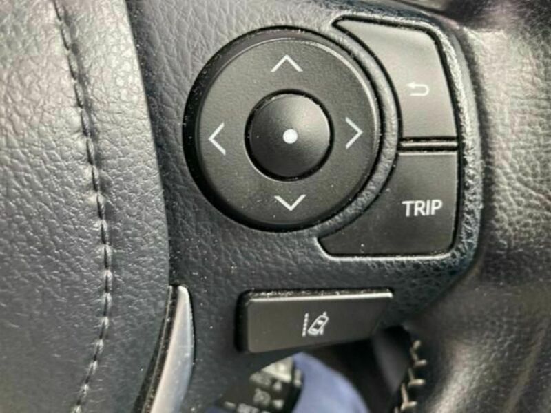 AURIS HYBRID
