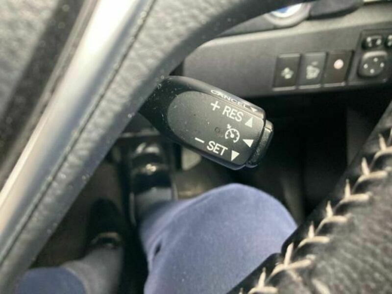 AURIS HYBRID