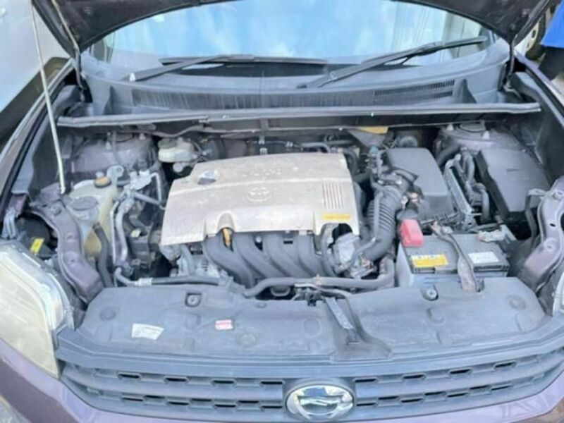 COROLLA RUMION