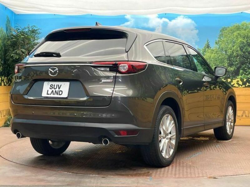 CX-8