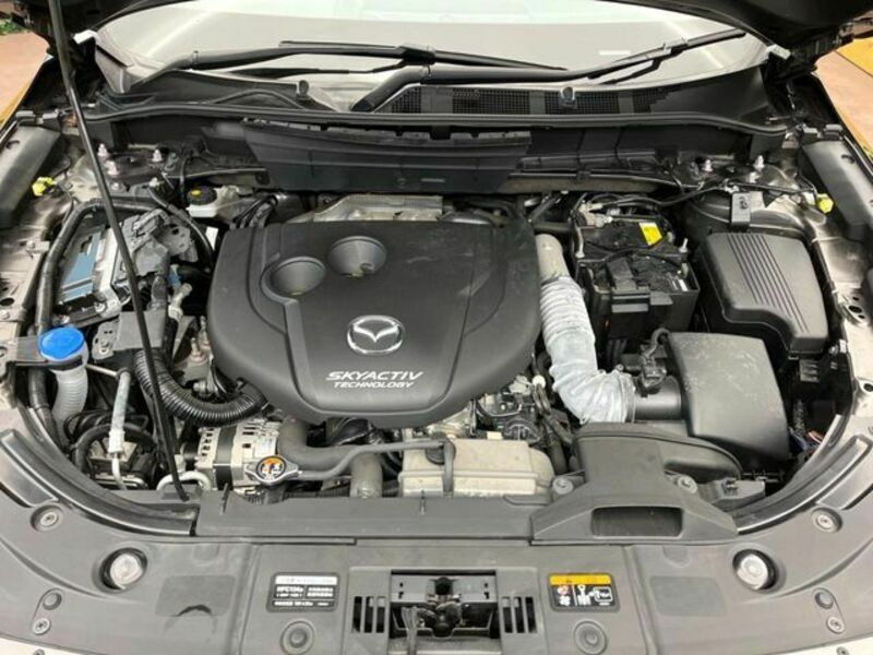 CX-8