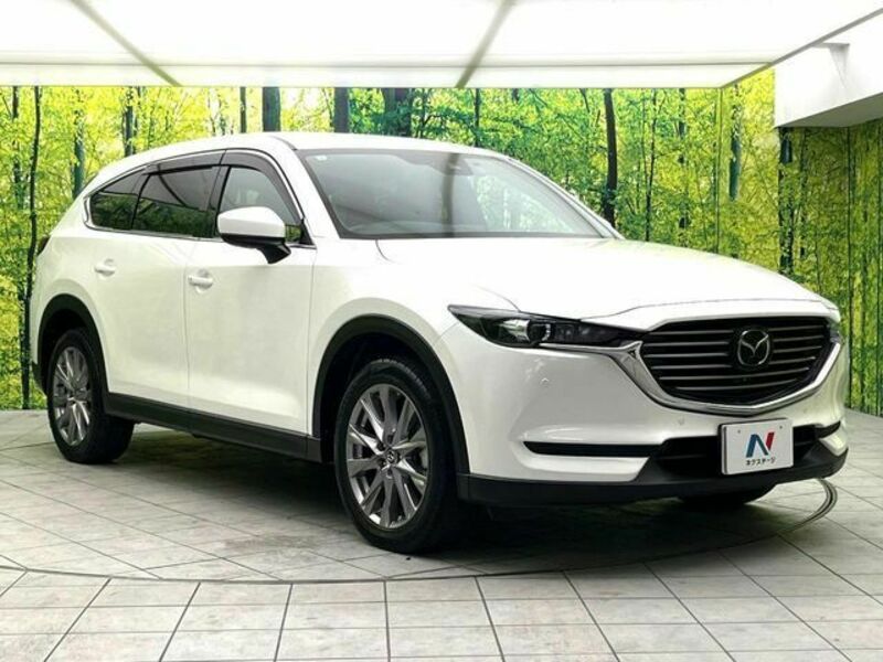 CX-8