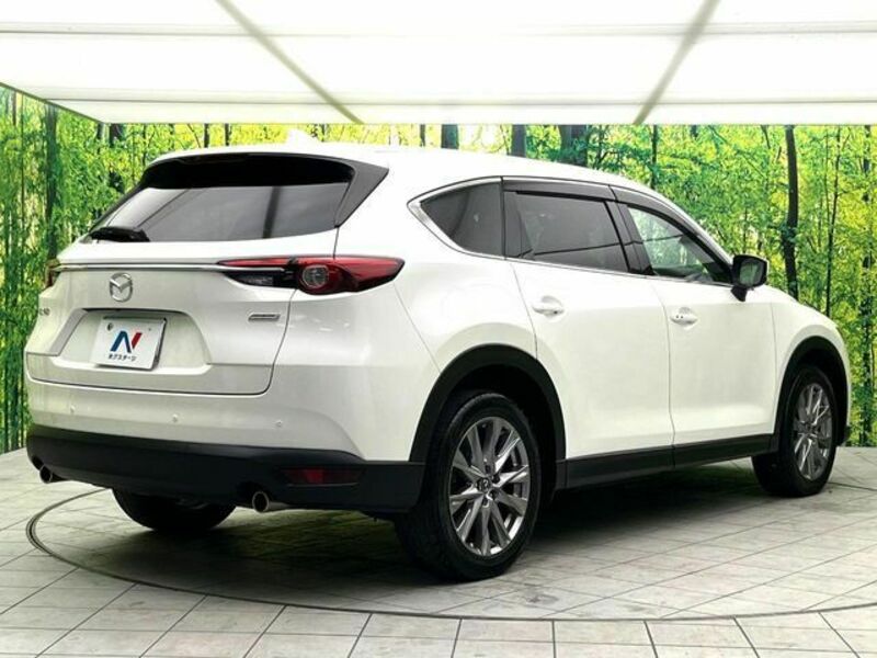 CX-8