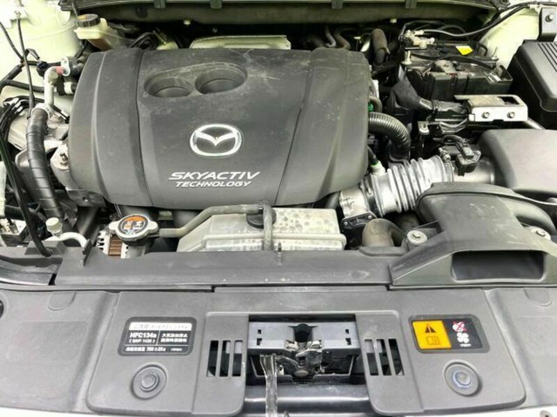 CX-8