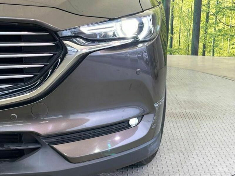CX-8