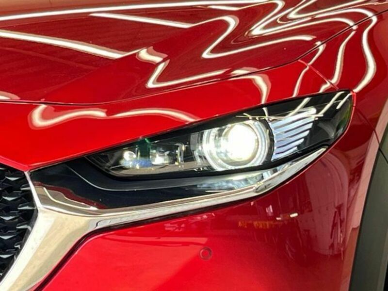CX-30